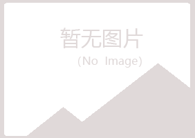 金山区沉淀会计有限公司